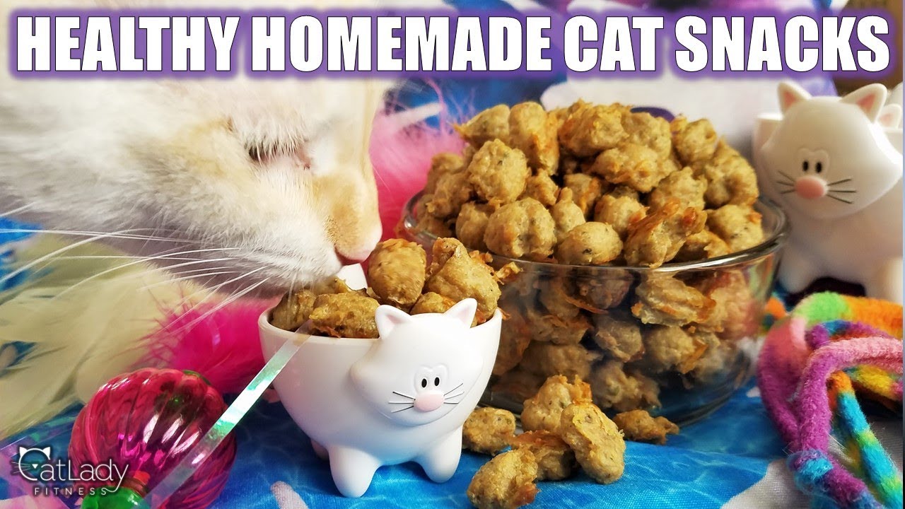 high-protein cat recipe 