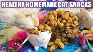 How to make THE BEST HOMEMADE KITTY TREATS (grainfree, highprotein cat recipe!)