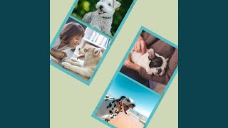 Simple Backdrops for Doggy Bedtime