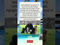Healing Through Paws: How James Middleton’s Dogs Saved Him from Depression #shorts