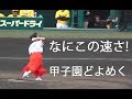 足立佳奈 『なにこの速さ! 12万5094人からのシンデレラガール 甲子園どよめかす』 阪神 横浜DeNA戦 甲子園始球式  2018年5月3日甲子園球場