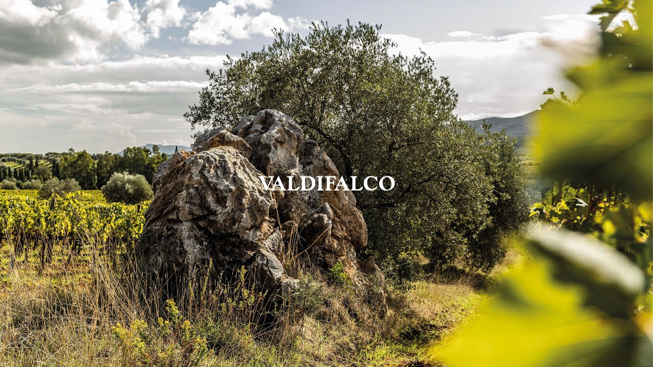 Tenuta Valdifalco - Maremma Toscana - Loacker Wine Estates