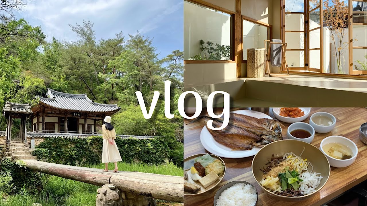 [🇰🇷여행 vlog] 안동 2회차 먹투어, 인생샷 포토스팟, 만휴정, 문화갈비, 월영교, 하회마을, 안동 신상 한옥숙소, 맘모스 베이커리, 찜닭골목, 안동 헛제사밥, 현지인맛집