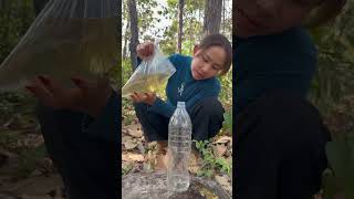 Survival Skills: easy methood saving water transfer to bottle #camping #bushcraft #water #smart