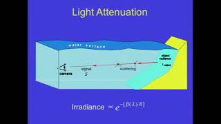 Vision in Scattering Media