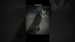 cameraman never died😮💨#wildlife #lion #videography #photography #wildanimals #shortsviral #youtube