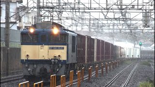 2019/9/18 1094レ鹿島貨物 EF64-1037+コキ18両