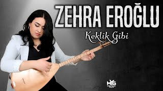 Zehra  Eroğlu  -  Keklik Gibi Kanadımı Süzmedim   Resimi