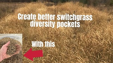 Build better bedding in switchgrass for deer.