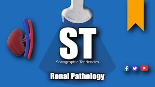 Renal Pathology screenshot 1