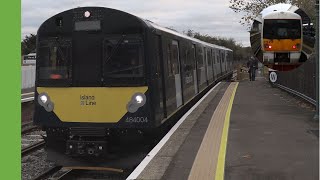 Trains at Brading