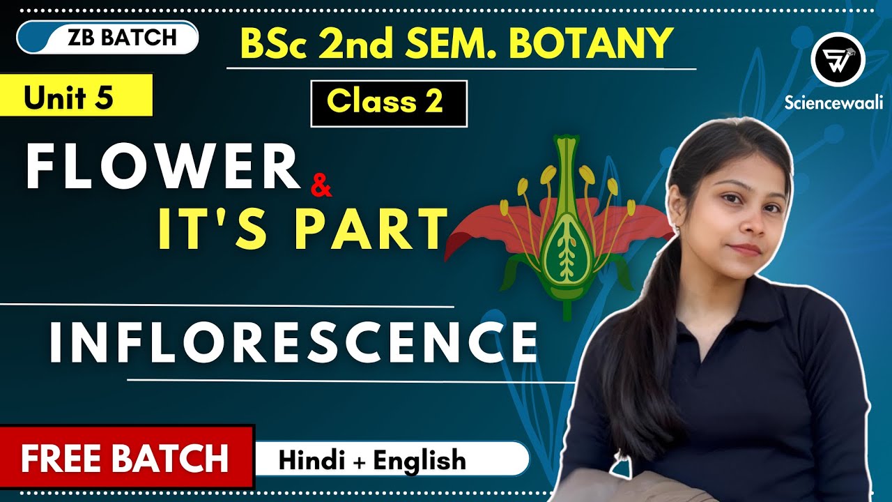 Flower & it's part|Inflorescence bsc 1st year 2nd semester unit 5 🔥💯Angiosperm morphology