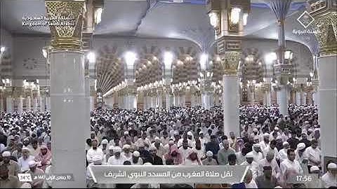 صلاة المغرب للشيخ أ.د. #محمد_برهجي السبت 10 جمادى الأولى 1447هـ من سورة التوبة 56-70 #المسجد_النبوي