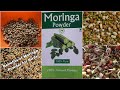Benefits of Moringa Powder for Cocakiel | Love Birds | Budgies | Benefits for Birds.