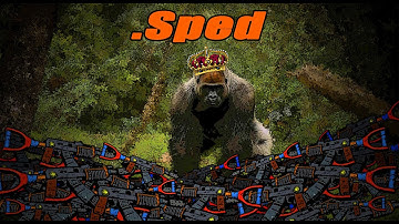 .Sped Electritian POV // Wipe zerg progression // RAIDS // ROAMS