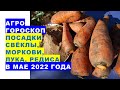 Агрогороскоп посадки свёклы, моркови, редиса, лука в мае 2022 года