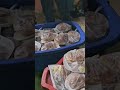 asi se lleva la comida en el campo