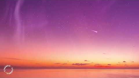 Thumbnail of Tyla Yaweh - Tommy Lee(lyrics)ft. Post Malone