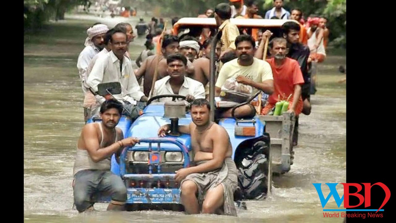 Death toll in bihar floods mounts