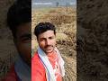 kisani kheti #rampurkarkhana yogendra Kumar yadav short video comedy viral