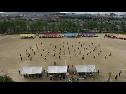 大阪府立長尾高校体育祭2020応援合戦【黄団】