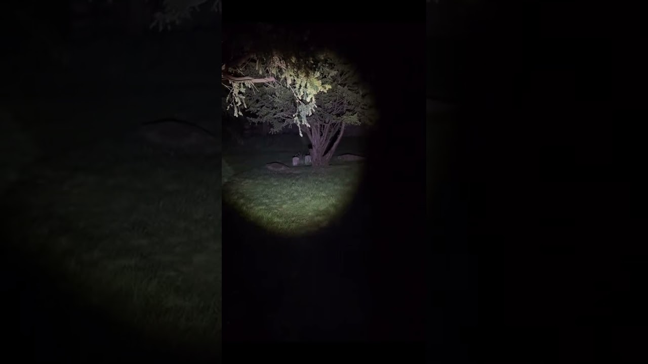 REAL SHADOW FIGURE CAPTURED AT THIS CEMETERY? 