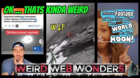 weird web wonders 22
