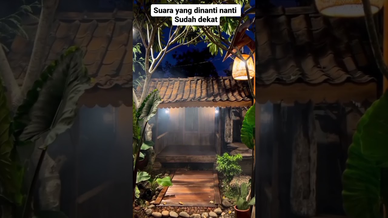 Update playlist ott navigation , tivimate , iptv terbaru februari 2025 