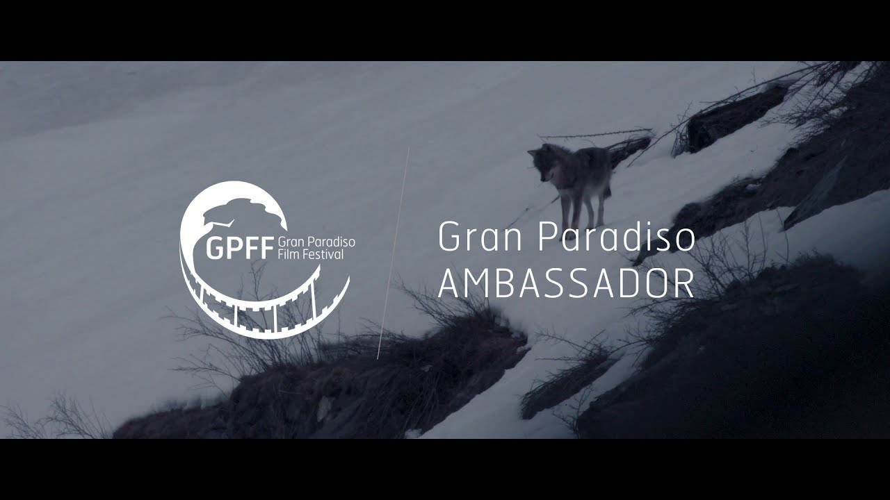 Gran Paradiso Ambassador - Intervista ad Anne ed Erik Lapied