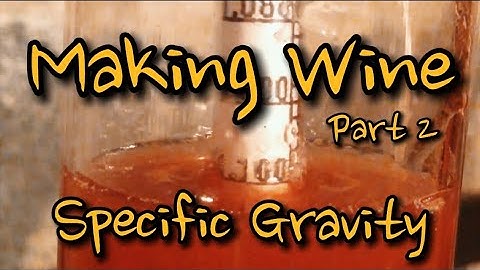 MAKING WINE (Part 2) SPECIFIC GRAVITY