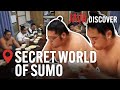 The Hidden Side of Sumo Wrestling: Blood, Sweat and Tears | Japan Documentary