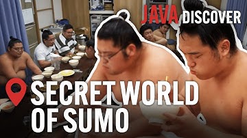 The Hidden Side of Sumo Wrestling: Blood, Sweat and Tears | Full Documentary