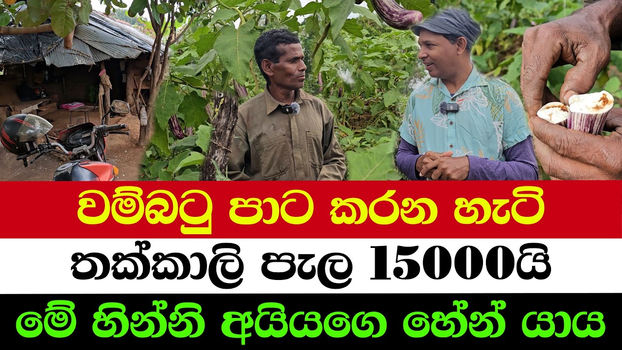 How to Farm Without Chemicals | How to Protect Crops from Worms