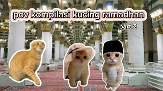 Pov kompilasi kucing puasa Ramadan #2 | meme kucing lucu