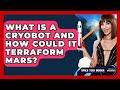 What Is A Cryobot And How Could It Terraform Mars? - Space Tech Insider
