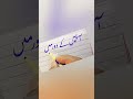 Afaton key daor men ghalib calligraphy with cut marker #top #calligraphy #trending #satisfying #urdu