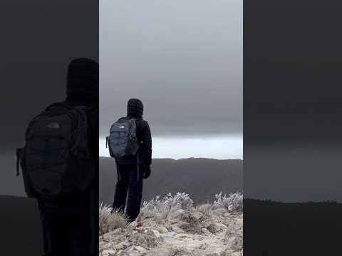 ვიდეო: გუდალუპეს მთების ეროვნული პარკი: სრული გზამკვლევი