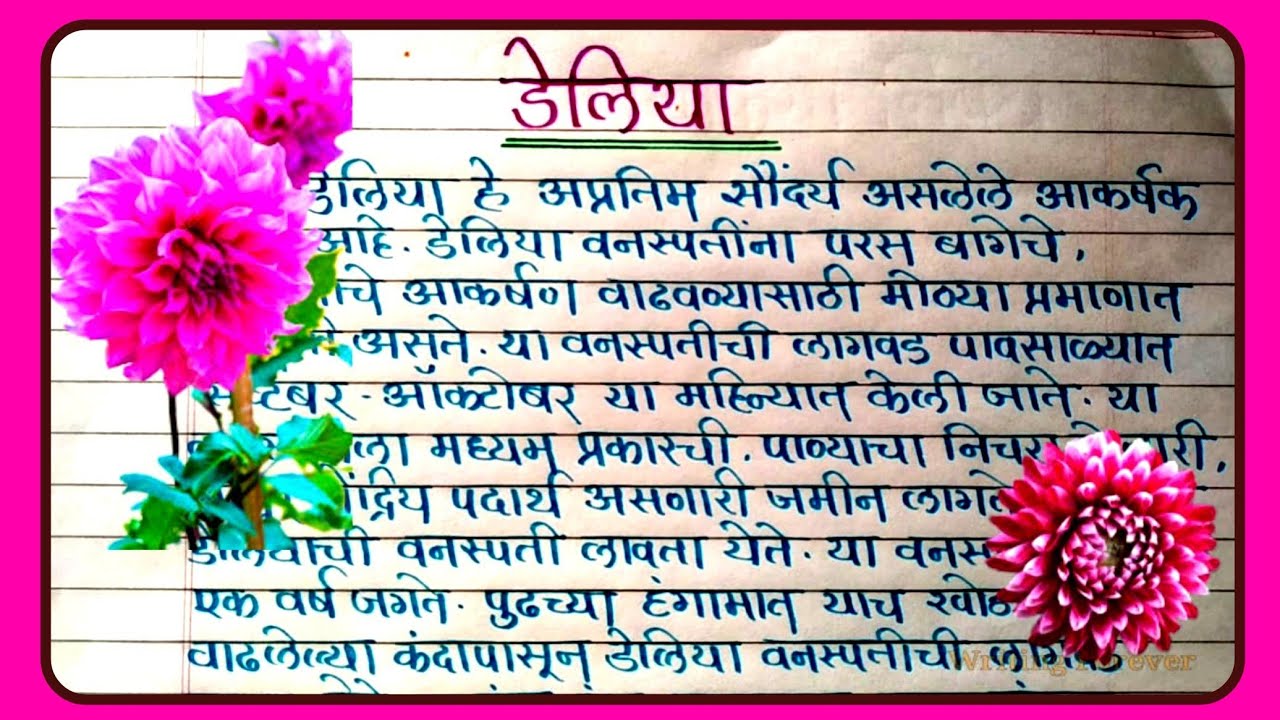 📝डेलिया फुलांची उपयुक्त माहिती मराठी Dahlia Flower Information in