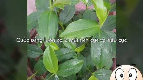 Video tạo động lực niềm tin trong cuộc sống