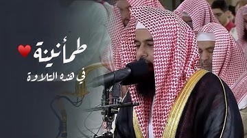 عشائية خاشعة تلاوة نادرة ما تيسر من سورة فصلت للشيخ أنس العمادي | عشاء 7-3-1446 هـ