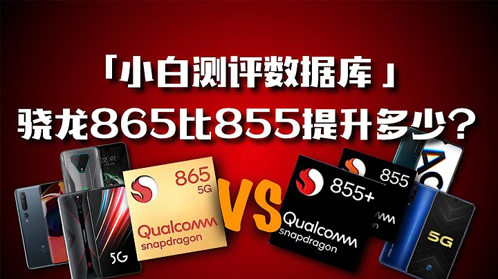 “小白测评数据库”骁龙865比较855系到底提升多少？实机测试〜 - 天天要闻