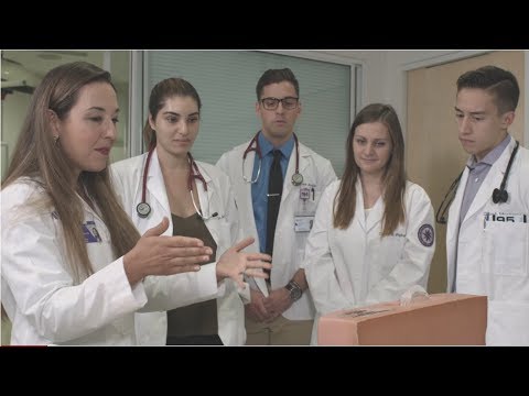 Inside the Feinberg Curriculum