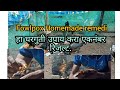 Best natural treatment for fowlpox in chicken (हा घरगुती उपाय करा एकनंबर रिजल्ट.(kukut palan).