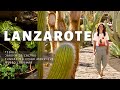 LANZAROTE 🇮🇨 Cesar Manriques Kunst, Jardin de Cactus 🌵 &amp; Teguise | Kanaren Urlaub | VLOG #69