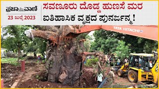 ಸವಣೂರು ದೊಡ್ಡ ಹುಣಸೆ ಮರ: ಐತಿಹಾಸಿಕ ವೃಕ್ಷದ ಪುನರ್ಜನ್ಮ! Baobab tree of Savanur