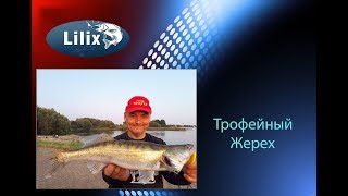 Трофейный Жерех ( Рыбалка в Германии )