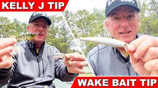 【PreSpawn】Spawn & Shad Spawn Season Tip