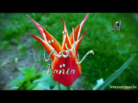 ما معنى اسم رانية وبعض من صفات حاملة هذا الاسم على قناة معاني الاسماء