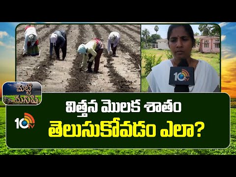 Best Quality Seeds : విత్తన మొలక శాతం తెలుసుకోవడం ఎలా? | Matti Manishi | 10TV News - 10TVNEWSTELUGU