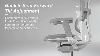 Ergohuman Elite 2.0 Pro Ergonomic Office Chair Ifco Deco 香港人體工學專家